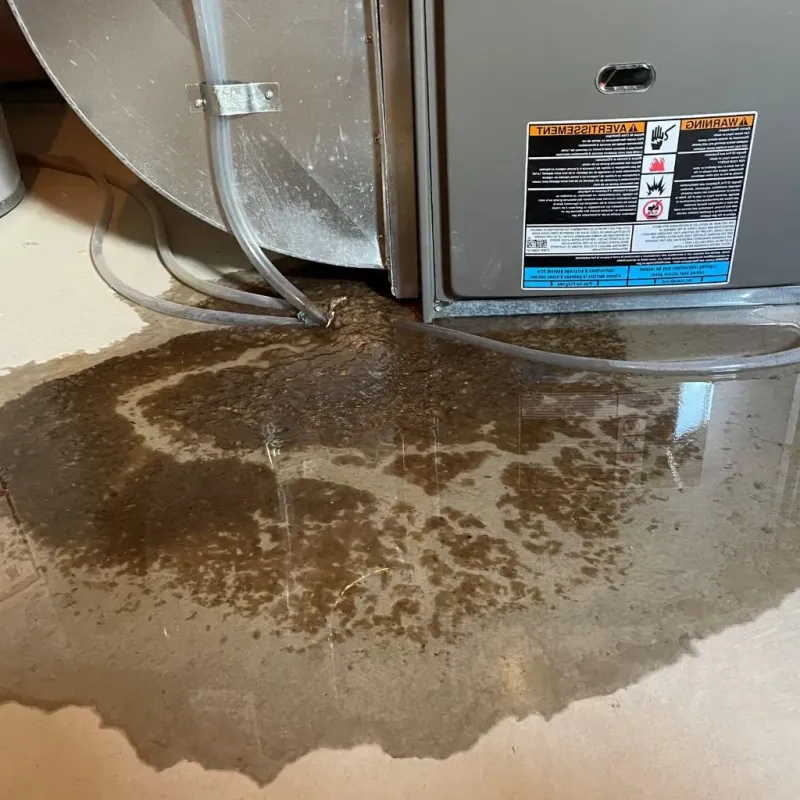 Pipe Burst and Leak Restoration in Near North Side, IL