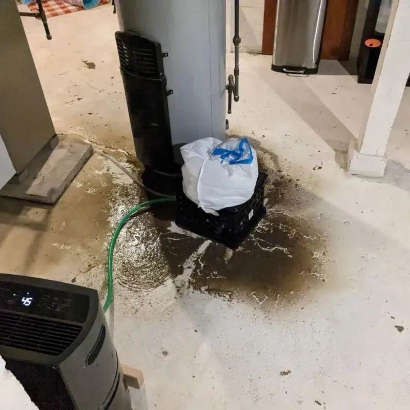 Sewage Backup Cleanup Service in Near North Side, IL